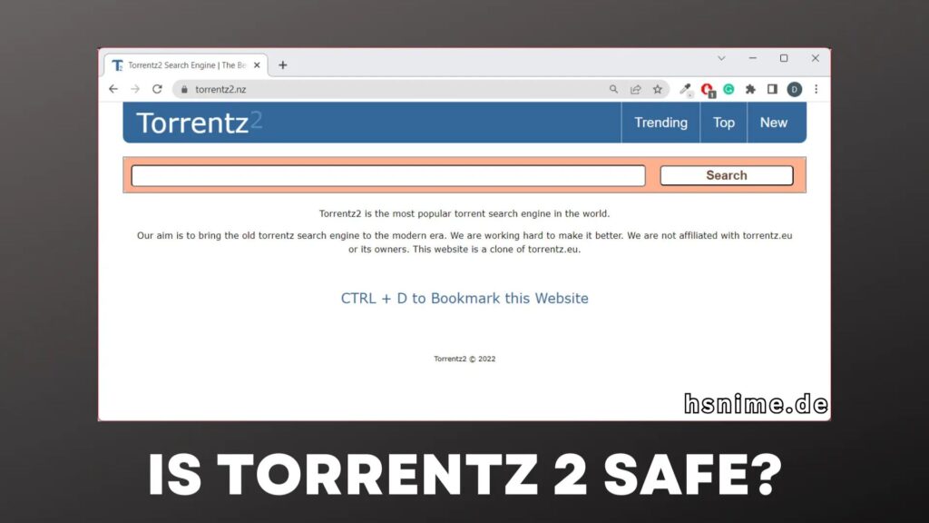 Torrenz2